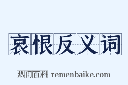 哀恨反义词是什么意思的图片